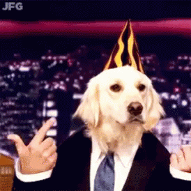 Happy Dog Party Rocker