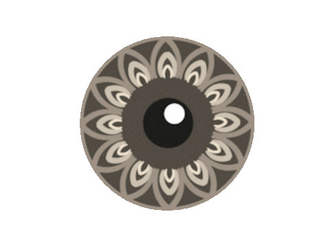 Eyeofthai Oneidea Blinking Eye Sticker