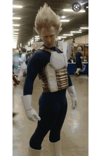 Vegeta Cosplay: Dragon Ball Z Fan Collection