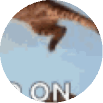 Windy Cat Holding On Sticker with 'HOLD ON' Text