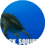 Rock Sticker: Swimming Marine Animal