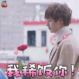 喜欢，花泽类，流星花园
