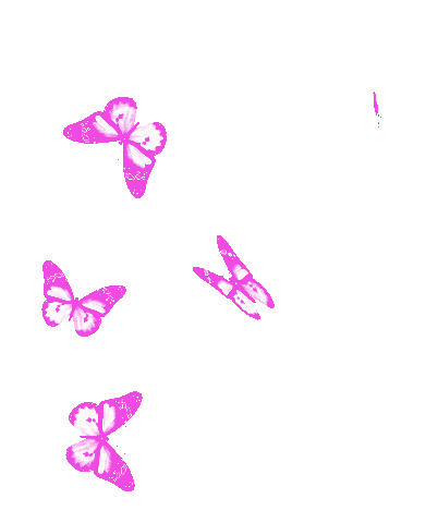 Borboletas Butterflies Sticker