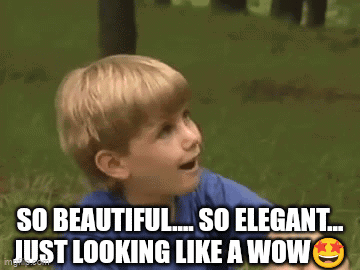 LAkvGtVJ.gif