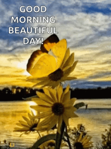Good Morning Beautiful Day with Butterfly