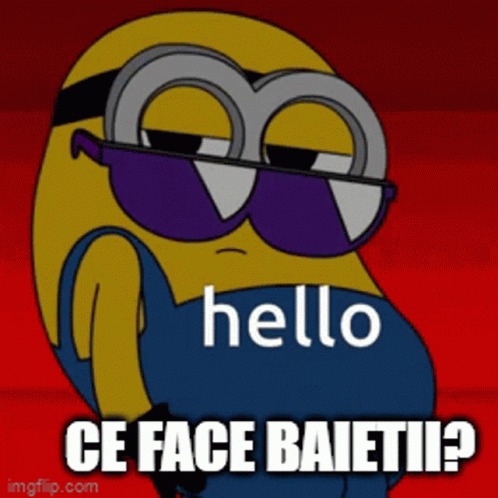 Ce Face Baietii Hello Minion Meme