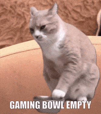 Zl2cAEvs.gif