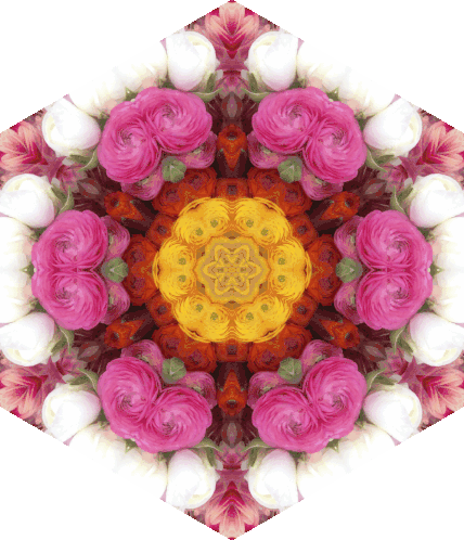 Cristina Burns' Pink Flower Mandala Kaleidoscope