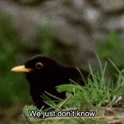 wCmse7G2.gif