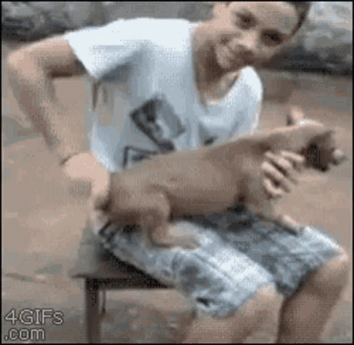 DVgLcHnZ.gif
