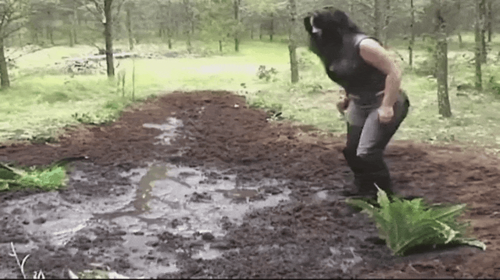 xfKFNH2R.gif