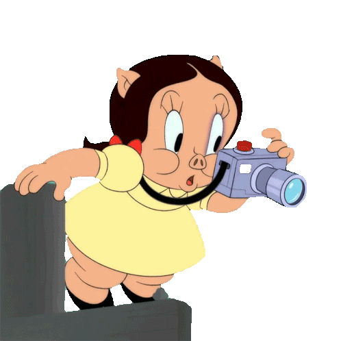 Petunia Pig: Ay Dios! Shocked Camera Moment