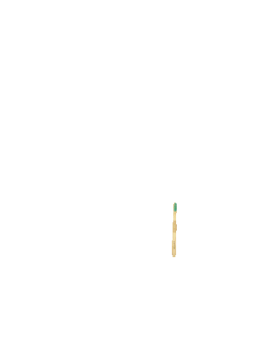 Brushboo Bamboo Toothbrush Ecoalternative
