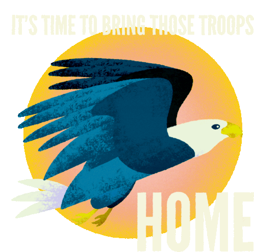Biden's Call: Bring Troops Home - Eagle Animation
