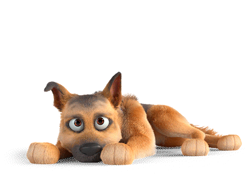Duke Champion: Surprised Dog Sticker