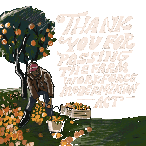 Thank You For Farm Workforce Modernization Act & Dream Act