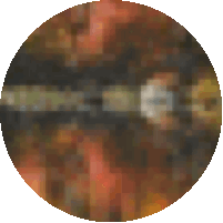 Autumn Sticker