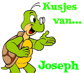 Kusjes Van Joseph Kisses Turtle Sticker