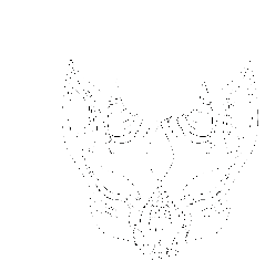 Akuto Riddim Animated Dot Face Mask