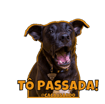 Cacausando Cacauecookie Dog Tô Passada Sticker