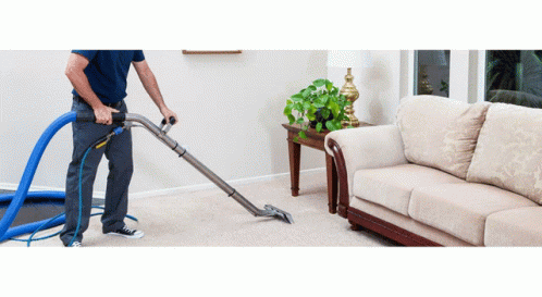 Professional Home Cleaning Services