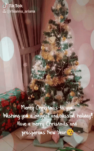 Merry Christmas & Prosperous New Year Wishes
