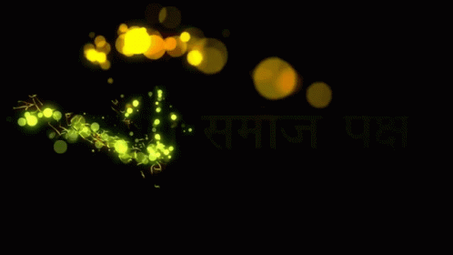 Bjp Pal: Rashtriya Samaj Paksh