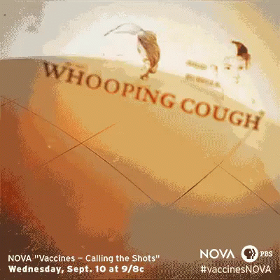 NOVA: Whooping Cough, Measles, Polio, Rubella