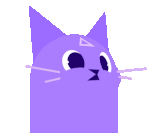Cosmic Cat Spinning Animation