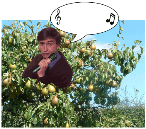 Alan Partridge: Knowing Me, Knowing You in a Pear Tree