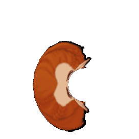 Aila Donut: Animated Crescent Moon Face